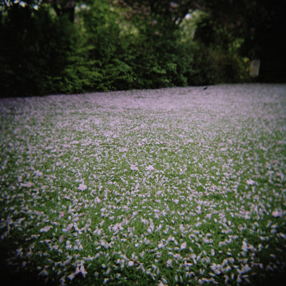 Mono No Aware