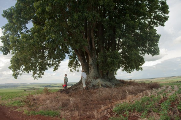 Eufália Cristina Paz de Almeida, The Destiny of a Heart, 2012